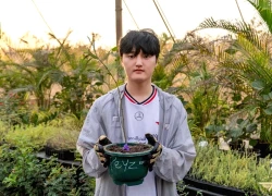 Peyz tiếp tục nối dài thành tích "khủng" trong màu áo T1