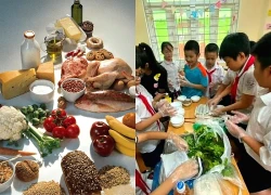 Tháp dinh dưỡng học đường: 'Bản đồ ăn uống' giúp học sinh lớn khỏe mỗi ngày