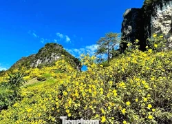 Tới Cao Bằng mùa này, du khách thốt lên: 'Đứng góc nào cũng có ảnh đẹp'