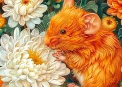 Tử vi tuần mới 15/12 - 21/12: Dần, Thân khởi sắc, một tuổi cần thận trọng