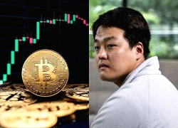 Từ "vua crypto" đến án tù 15 năm: Hồi kết đắng cho đế chế 40 tỷ USD