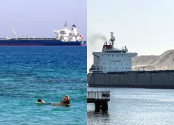 Các hãng vận tải biển khổng lồ nối lại hoạt động qua Kênh đào Suez