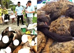 Cảnh sát phát hiện xe khách chở thịt đông lạnh nghi động vật quý hiếm