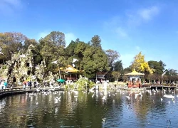 Đến Côn Minh chiêm ngưỡng hàng vạn chim hải âu tung cánh