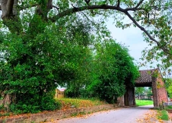 Đường Lâm: Khám phá làng cổ đá ong độc đáo ngay gần Hà Nội