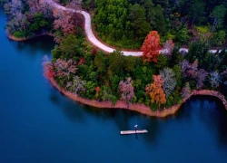 Hồ Bản Viết mùa đông - Bản hòa ca sắc đỏ giữa núi rừng Cao Bằng