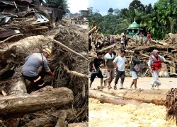 Indonesia thu hồi hàng chục giấy phép lâm nghiệp sau thảm họa lũ quét ở Sumatra