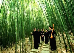 Rừng trúc Bản Phường - Miền xanh yên bình