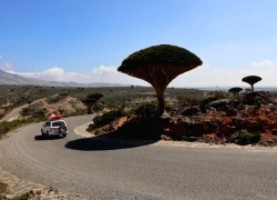 Socotra: Khám phá hòn đảo của những cây huyết rồng bí ẩn