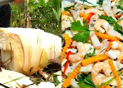 Cách làm gỏi củ hủ dừa tôm thịt đơn giản