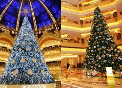 Cây thông Noel đắt nhất hành tinh