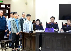 Cựu Chủ tịch Tập đoàn Thuận An được đề nghị giảm án đến 3 năm tù