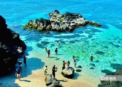 Du lịch Quảng Ngãi tăng trưởng ấn tượng hậu sáp nhập