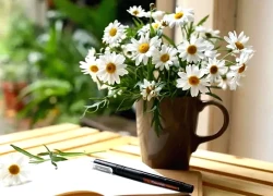 Đúng 11 ngày đầu tiên của tháng 11 âm lịch, 3 con giáp cá Chép hóa Rồng, phất lên như vũ bão, uống cạn lộc trời, giàu có hơn người