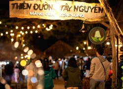 (Emagazine) Khám phá "thiên đường hoa anh đào" rực rỡ ở Quảng Ngãi