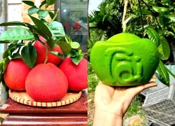 Những loại quả độc lạ chưa Tết đã hút khách