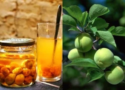 Vị thuốc của mùa Xuân từ loại quả "tốt nhất thế giới", Việt Nam trồng bạt ngàn