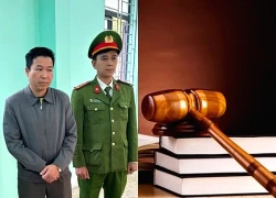 Khởi tố một cựu cán bộ ban quản lý dự án