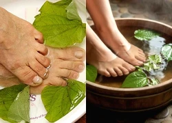 Ngâm chân bằng lá lốt thường xuyên có tốt?