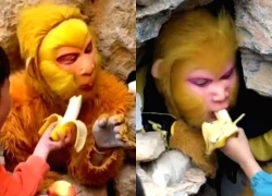 Nghề lạ: Đi làm như đi chơi, nhận lương hơn 20 triệu đồng/tháng