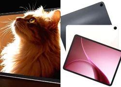 OPPO Pad Air 5 ra mắt: Màn hình 12.1 inch 2.8K và pin 10,050mAh