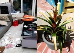 Phòng khách càng phạm 5 thứ này, tài vận gia đình càng xuống - dọn lại sớm để con cháu thịnh vượng lâu dài