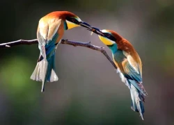 Phụ nữ sinh vào 3 tháng Âm lịch này được quý nhân che chở, sống an nhàn đến già