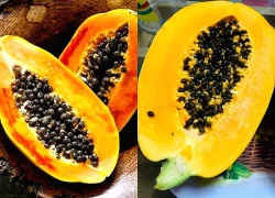 Sự thật về công dụng của hạt đu đủ khiến nhiều người kinh ngạc