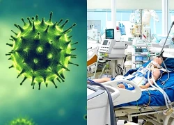 Từ sốt, ho thông thường, bé gái 6 tuổi suy đa cơ quan do cúm A