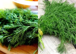 2 loại rau gia vị nên ăn mỗi ngày trong mùa đông