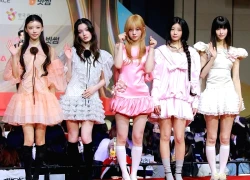 5 bóng hồng cứ xuất hiện lần nào là bị chê lần đấy