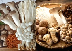 5 loại nấm giúp giảm cân và 'đốt' mỡ hiệu quả không nên bỏ lỡ