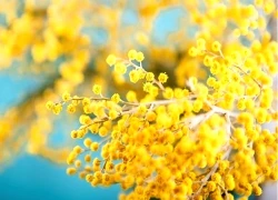 5 ngày đầu tháng 1/2026: 3 con giáp bạc vàng tiêu mãi không hết, thu nhập cải thiện đáng kể, tiền đếm không xuể, sự nghiệp thăng hạng