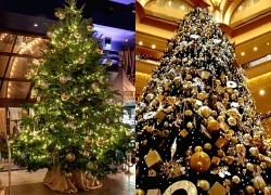 Chiêm ngưỡng những cây thông Noel đắt hơn cả xe sang