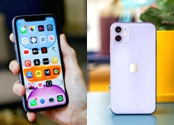 Giá iPhone 13, iPhone 12, iPhone 11 giảm không tưởng, chưa tới 10 triệu đồng vẫn không quá thua iPhone 17, xứng danh bộ 3 iPhone rẻ nhất Việt Nam