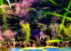 Quảng Ngãi đón 5,2 triệu lượt khách, doanh thu du lịch đạt 3.700 tỷ đồng