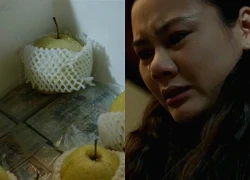 Lằn ranh - Tập 38: Nguyệt vừa khóc vừa bóc thùng tiền hối lộ