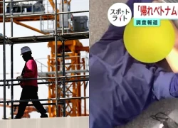 Nam công nhân Việt bị tấn công vì nghe điện thoại giữa giờ nghỉ trưa