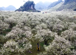 Nghỉ Tết Dương lịch 4 ngày, bạn chọn cung nào để lên đường?