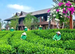 Sức hấp dẫn của du lịch cộng đồng ở Thái Nguyên