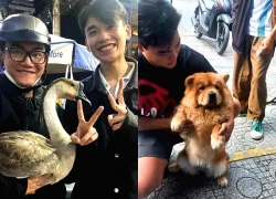 Tặng trà sữa cho khách đến cùng chó, mèo, vịt cưng tại TP.HCM