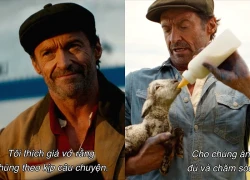 Trailer 'Đội thám tử Cừu: Án mạng lúc nửa đêm' hé lộ vụ án triệu đô với đàn cừu là thám tử