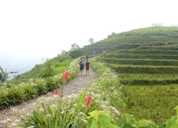 Vì sao Việt Nam lọt top 20 điểm đến "trốn rét" lý tưởng nhất thế giới?