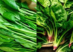 Việt Nam có 'vua của các loại rau', ăn vào bổ não, chắc xương, tim mạch ổn định