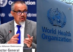 WHO ghi nhận những thành quả đạt được trong năm 2025