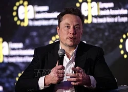 Tỷ phú Elon Musk trở thành tâm điểm cuộc họp nội các đầu tiên của Tổng thống Trump