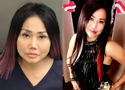 Ca sĩ Lynda Trang Đài bị bắt ở Mỹ là ai?