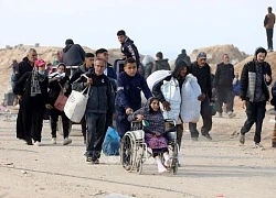 LHQ cảnh báo về kế hoạch kiểm soát Gaza của Tổng thống Trump