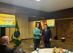 Gặp gỡ mừng Xuân Ất Tỵ và kỷ niệm 95 năm thành lập Đảng tại Brazil