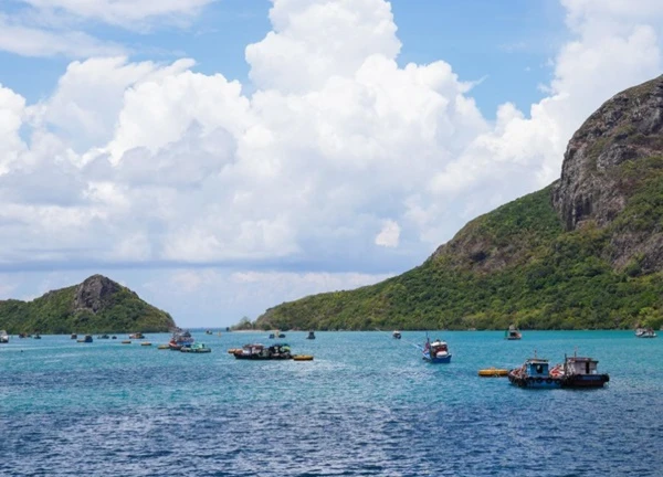 Hoạt động lại tàu Thăng Long tuyến Vũng Tàu - Côn Đảo sau 5 tháng